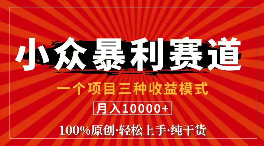 视频号【中老年粉深信不疑】小众赛道 100%原创 手把手教学 新号3天收益-小二项目网