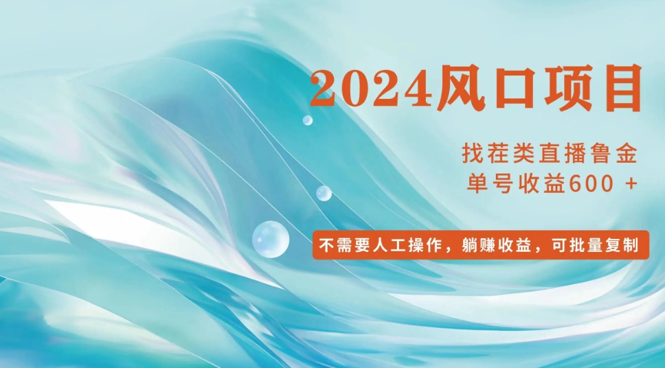 小白轻松入手，当天收益600+，可批量可复制-小二项目网