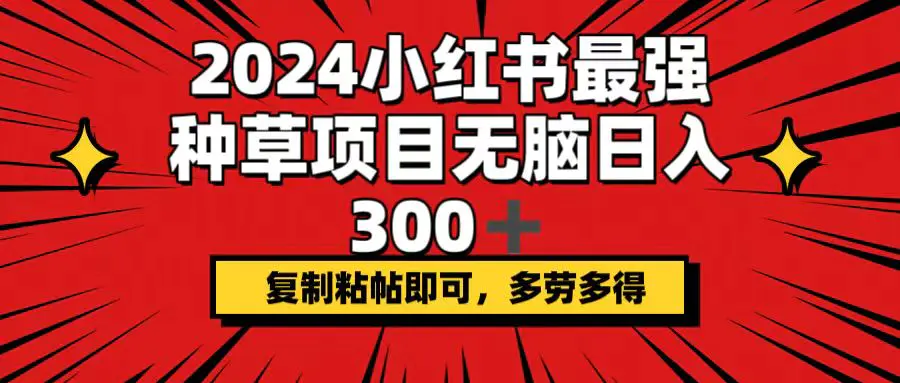 2024小红书最强种草项目，无脑日入300+，复制粘帖即可，多劳多得-小二项目网