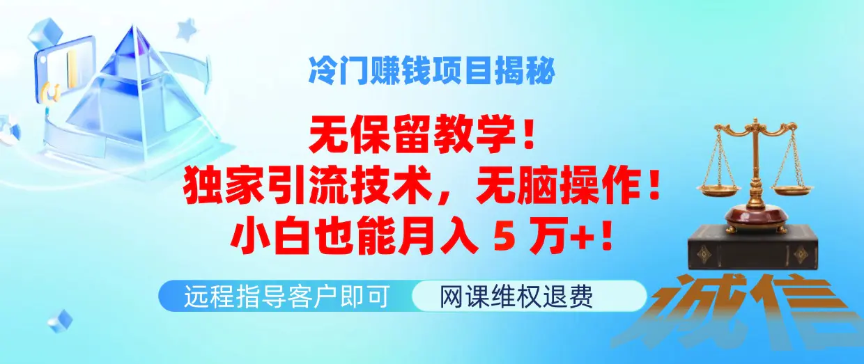 冷门赚钱项目无保留教学！独家引流技术，无脑操作！小白也能月入5万+！-小二项目网