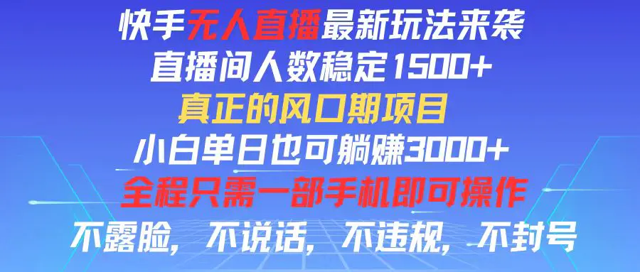 快手无人直播全新玩法，直播间人数稳定1500+，小白单日也可躺赚3000+-小二项目网