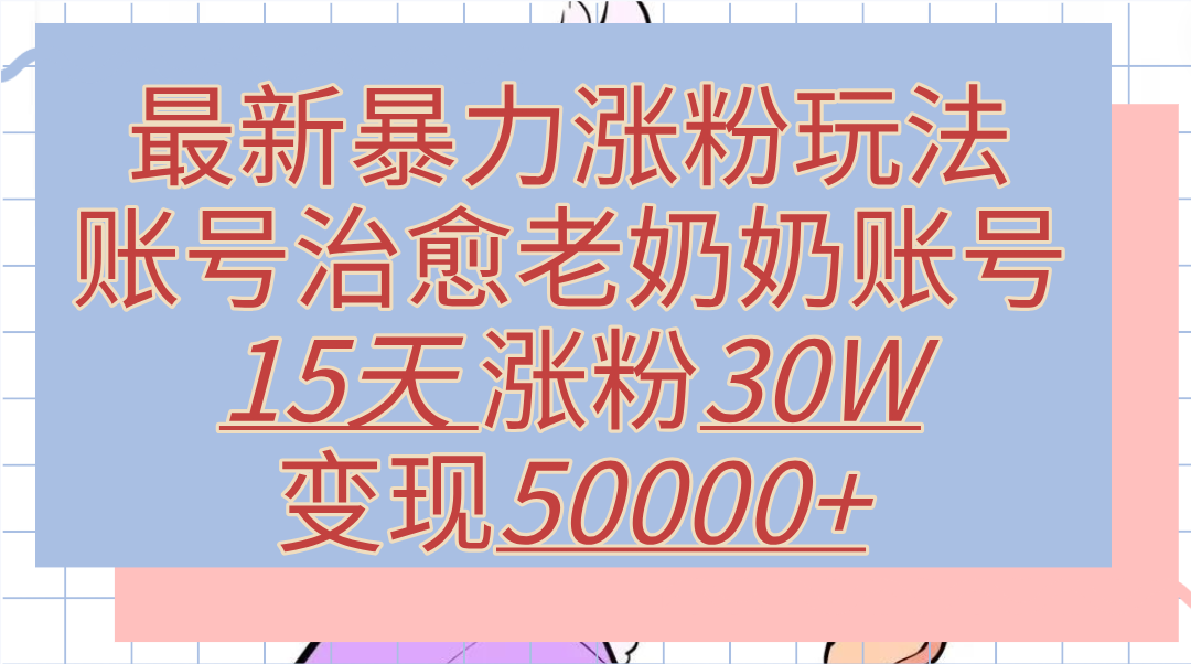 最新暴力涨粉玩法，治愈老奶奶账号，15天涨粉30W，变现50000+【揭秘】-小二项目网