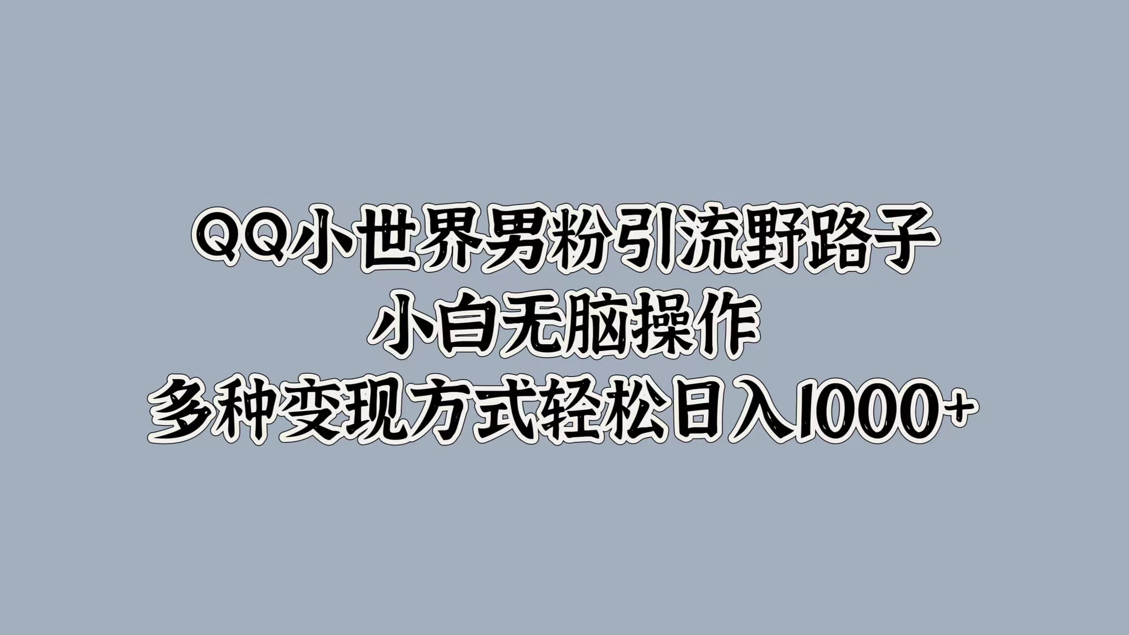 QQ小世界男粉引流野路子，小白无脑操作，多种变现方式轻松日入1000+-小二项目网