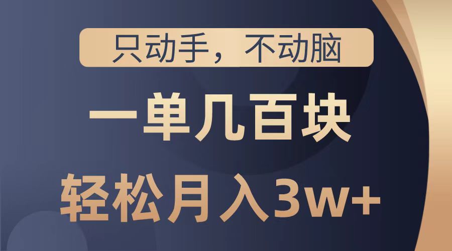 只动手不动脑，一单几百块，轻松月入2w+，看完就能直接操作，详细教程-小二项目网