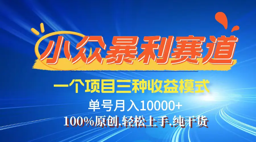 【老人言】-视频号爆火赛道，三种变现方式，0粉新号调调爆款-小二项目网