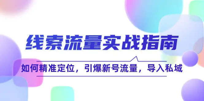 线 索 流 量-实战指南：如何精准定位，引爆新号流量，导入私域-小二项目网