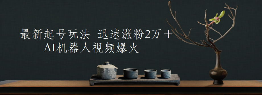 最新起号玩法，AI机器人视频爆火，迅速涨粉2万＋-小二项目网