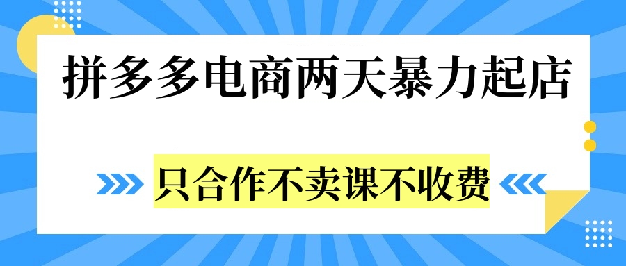 拼多多两天暴力起店，只合作不卖课不收费-小二项目网