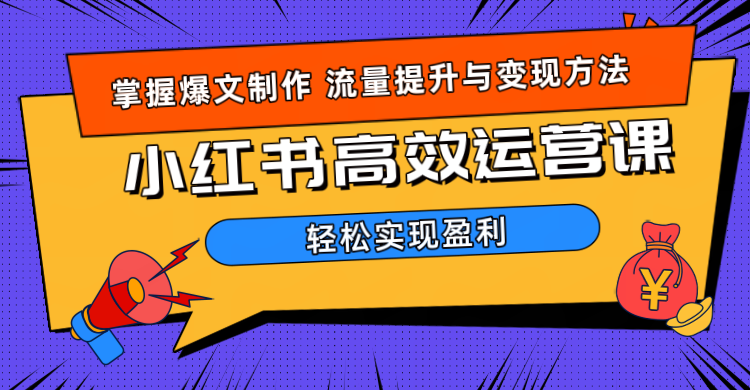 价值980小红书运营操作指南-小二项目网