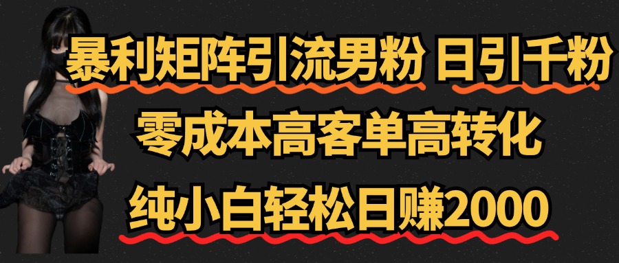 暴利矩阵引流男粉（日引千粉），零成本高客单高转化，纯小白轻松日赚2000+-小二项目网