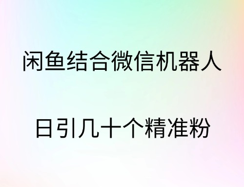 闲鱼结合微信机器人，日引几十个精准粉-小二项目网