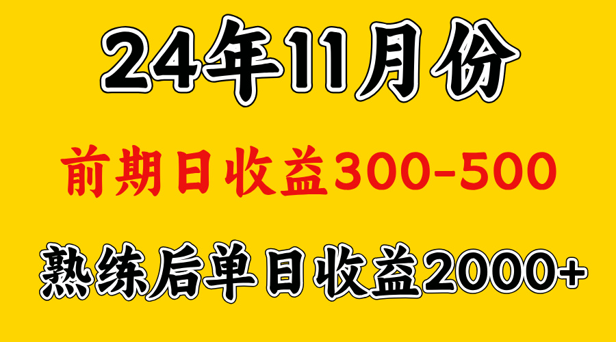 轻资产项目，前期日收益500左右，后期日收益1500-2000左右，多劳多得-小二项目网