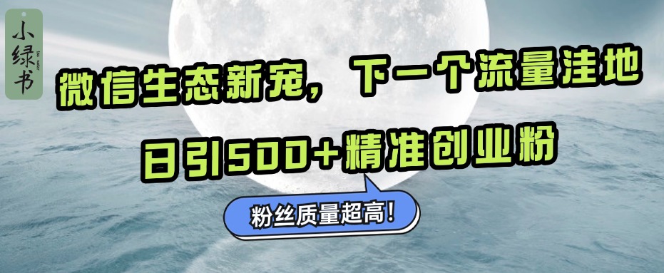 微信生态新宠小绿书：下一个流量洼地，粉丝质量超高，日引500+精准创业粉，-小二项目网