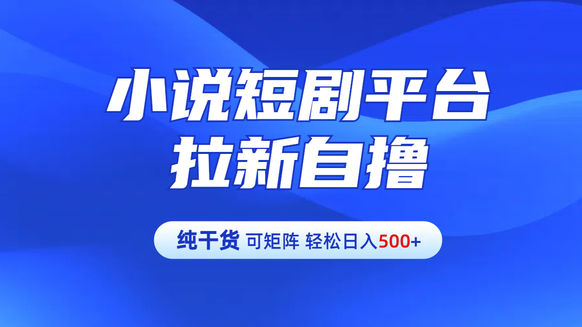 【纯干货】小说短剧平台拉新自撸玩法详解-单人轻松日入500+-小二项目网