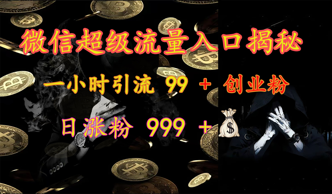 微信超级流量入口揭秘：一小时引流 99 + 创业粉，日涨粉 999 +【揭秘】-小二项目网