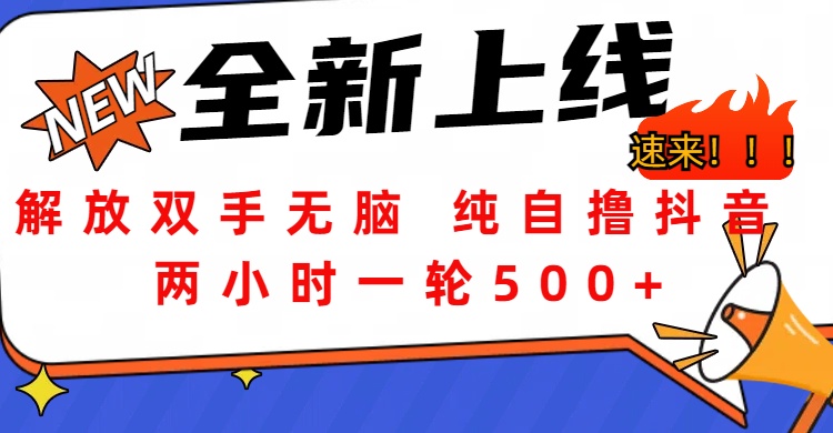 解放双手无脑 纯自撸抖音 两小时一轮500+-小二项目网