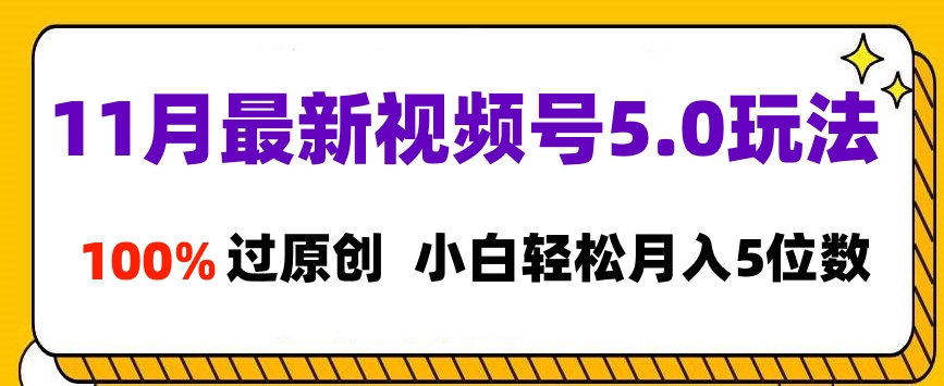 11月最新视频号5.0玩法，100%过原创，小白轻松月入5位数-小二项目网