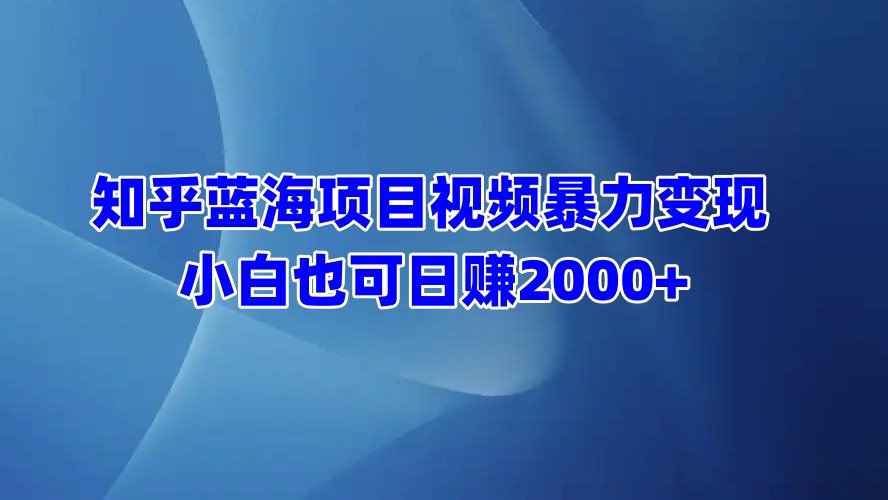 知乎蓝海项目视频暴力变现  小白也可日赚2000+-小二项目网