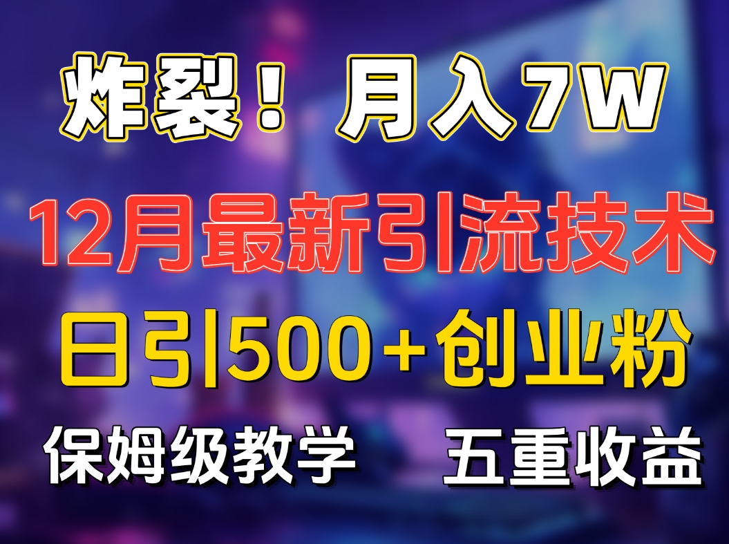 炸裂！月入7W+揭秘12月最新日引流500+精准创业粉，多重收益保姆级教学-小二项目网