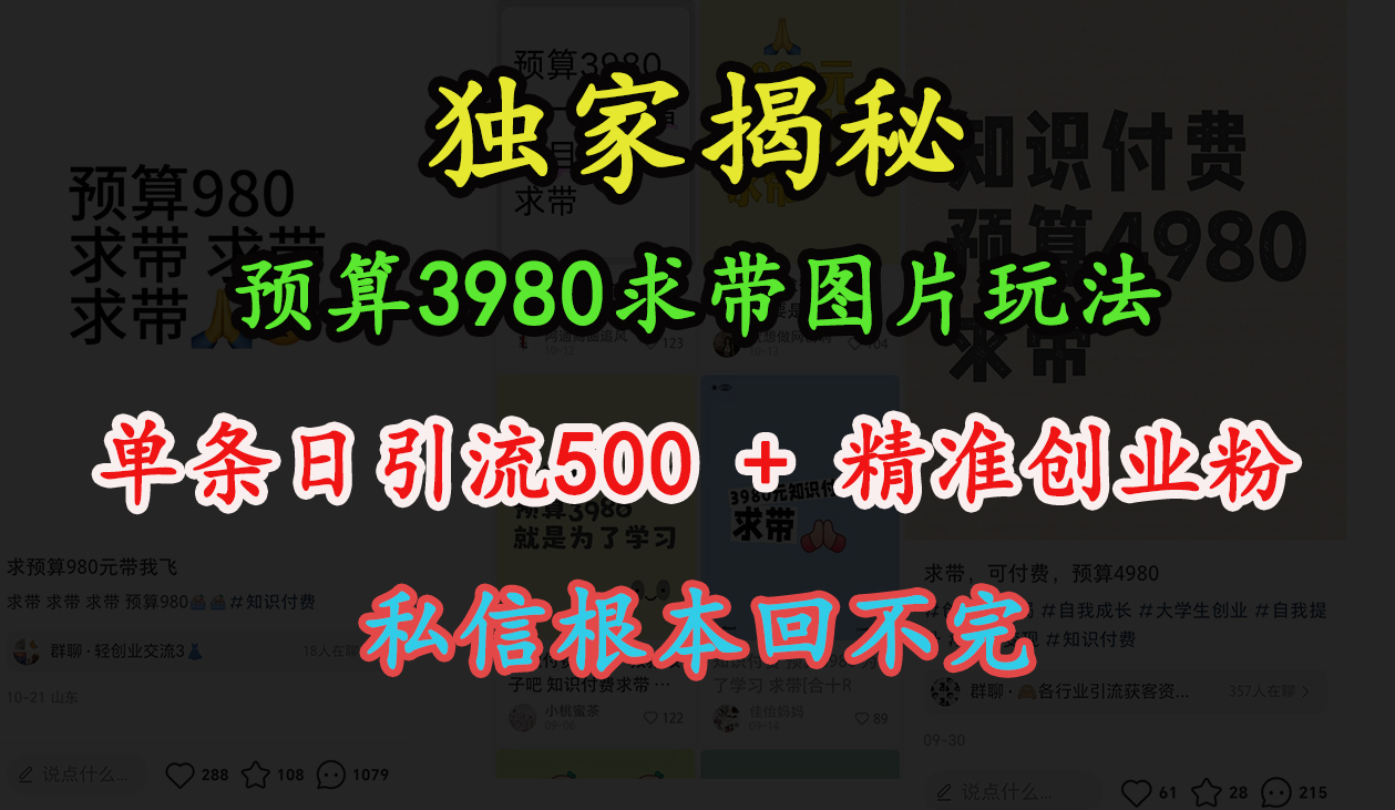 “小红书”预算3980求带 图片玩法，单条日引流500+精准创业粉，私信根本回不完-小二项目网