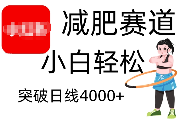 小红书减肥赛道，小白轻松日利润4000+-小二项目网