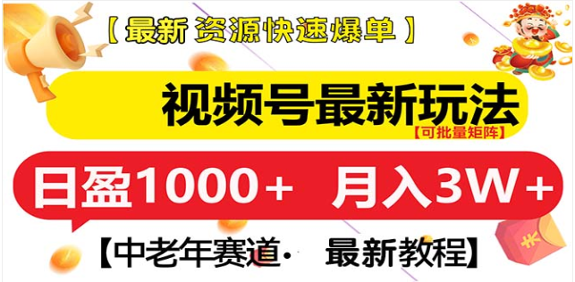 视频号独家玩法，老年养生赛道，无脑搬运爆款视频，日入1000+-小二项目网