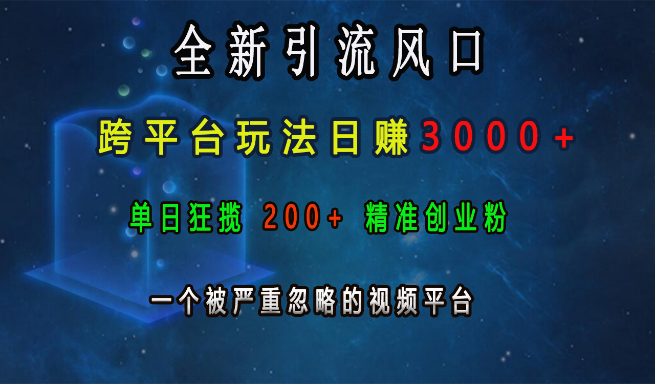 全新引流风口，跨平台玩法日赚3000+，单日狂揽200+精准创业粉，一个被严重忽略的视频平台-小二项目网