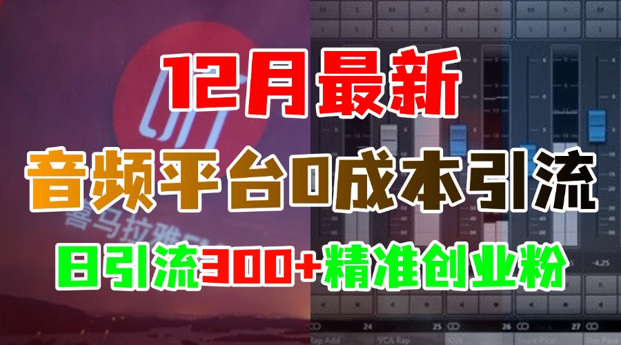 12月最新：音频平台0成本引流，日引300+精准创业粉-小二项目网