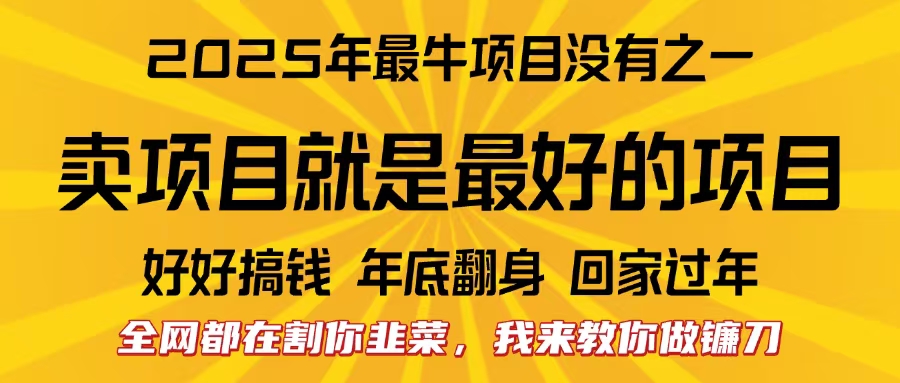 全网都在割你韭菜，我来教你做镰刀。卖项目就是最好的项目，2025年最牛互联网项目-小二项目网