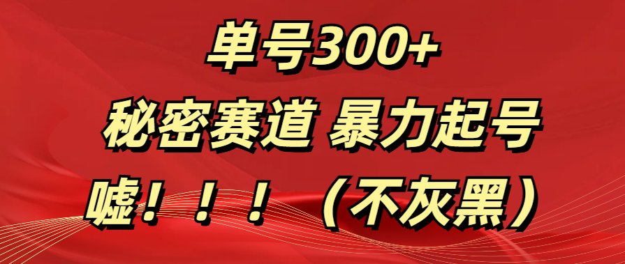 单号300+  秘密赛道 暴力起号  （不灰黑）-小二项目网