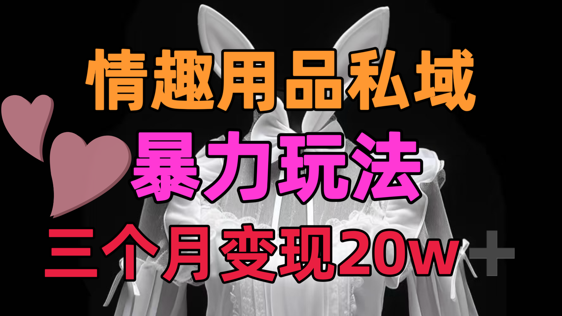 情趣用品私域，25年最新暴力玩法，三个月变现20w➕-小二项目网