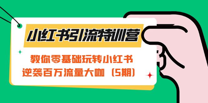 小红书引流特训营-第5期：教你零基础玩转小红书，逆袭百万流量大咖-小二项目网