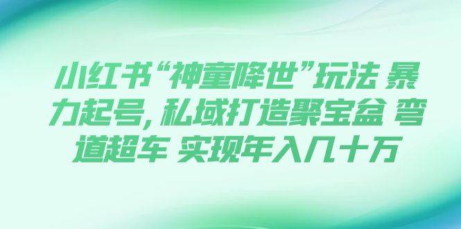 小红书“神童降世”玩法 暴力起号,私域打造聚宝盆 弯道超车 实现年入几十万-小二项目网